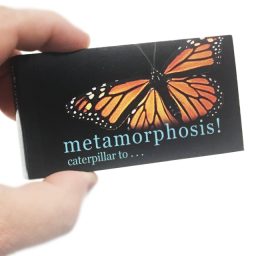 Butterfly Transforms Animated Flip Book