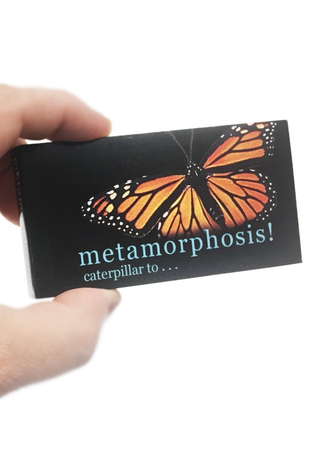 Butterfly Transforms Animated Flip Book