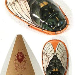 Cicada Clicker Tin Toy