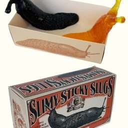 Slimy Sticky Slugs Two Gross Gastropods Joke Prank