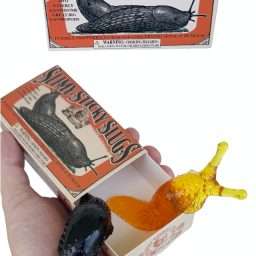 Slimy Sticky Slugs Two Gross Gastropods Joke Prank