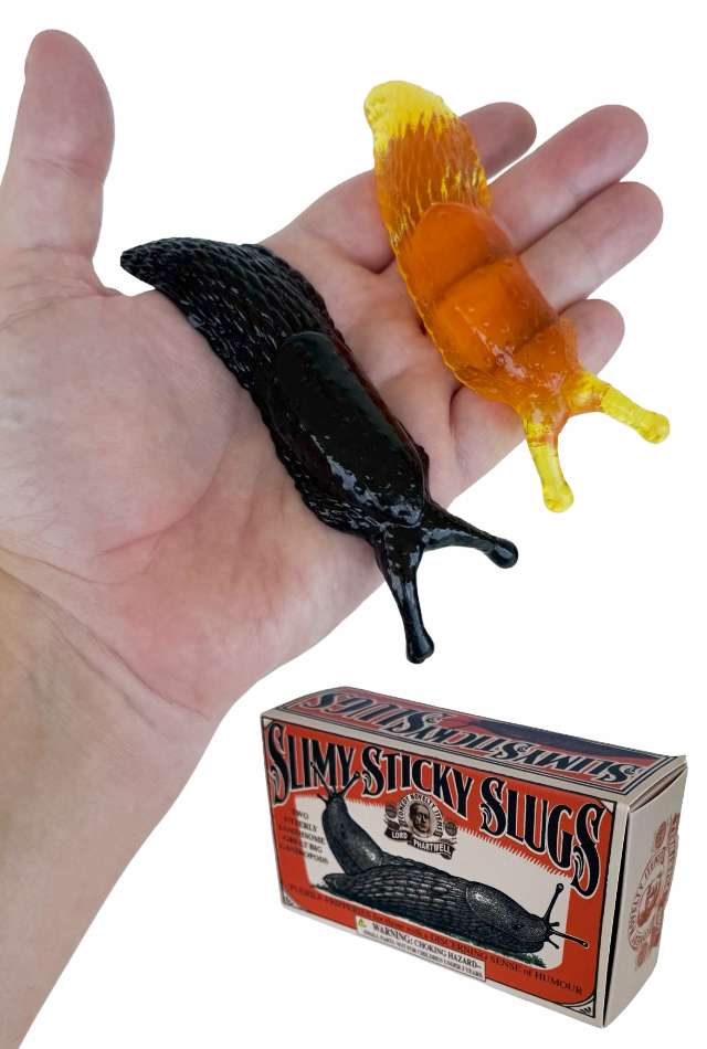 Slimy Sticky Slugs Two Gross Gastropods Joke Prank